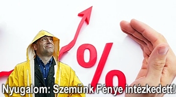 szf_intez