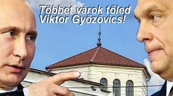 tvtvgy