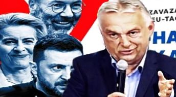 buvolovgy