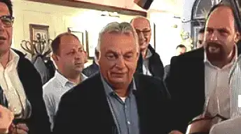 nemvgyx