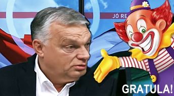 vgygratula