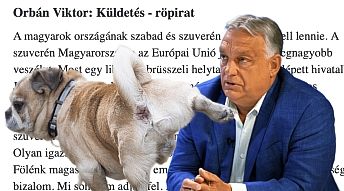 vgykuld