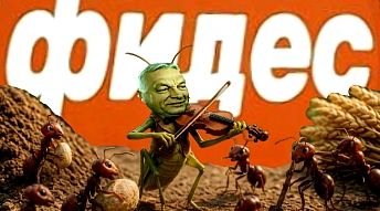 vgyprimas