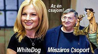 whitedog
