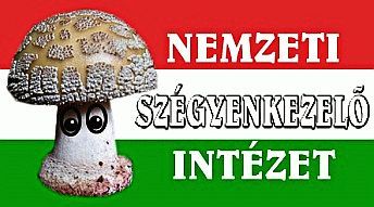 nemzet_szegyenkezelo