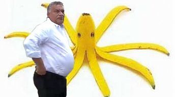 banan