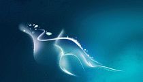 abstract004.jpg