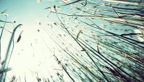 abstract010.jpg
