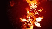 abstract029.jpg