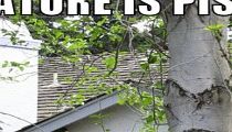 hterm055.jpg
