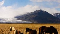 ng_allt2045.jpg