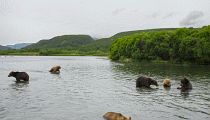 ng_allt2078.jpg